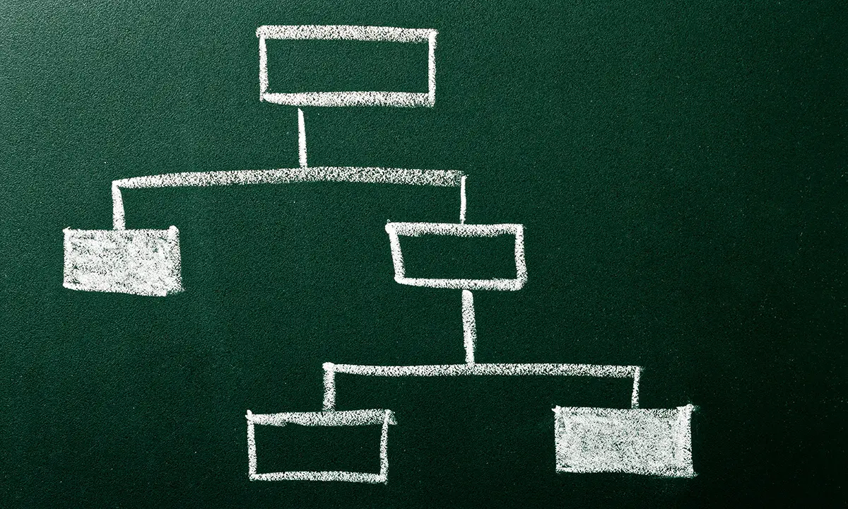 Organization diagram on green blackboard.